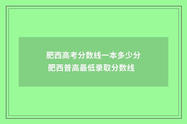 肥西高考分数线一本多少分 肥西普高最低录取分数线