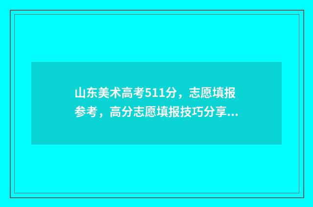 山东美术高考511分，志愿填报参考，高分志愿填报技巧分享 山东美术高考511分能上吗