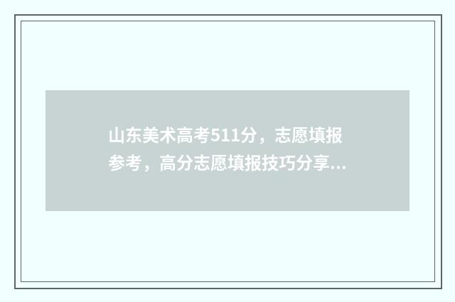 山东美术高考511分，志愿填报参考，高分志愿填报技巧分享 山东美术高考511分能上吗