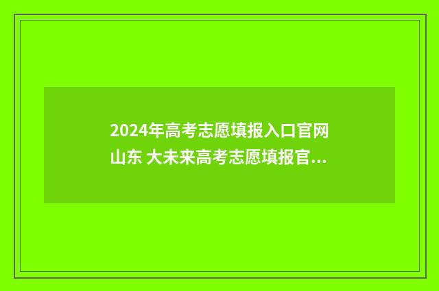 2024年高考志愿填报入口官网山东 大未来高考志愿填报官网