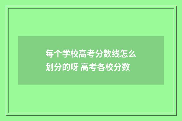 每个学校高考分数线怎么划分的呀 高考各校分数