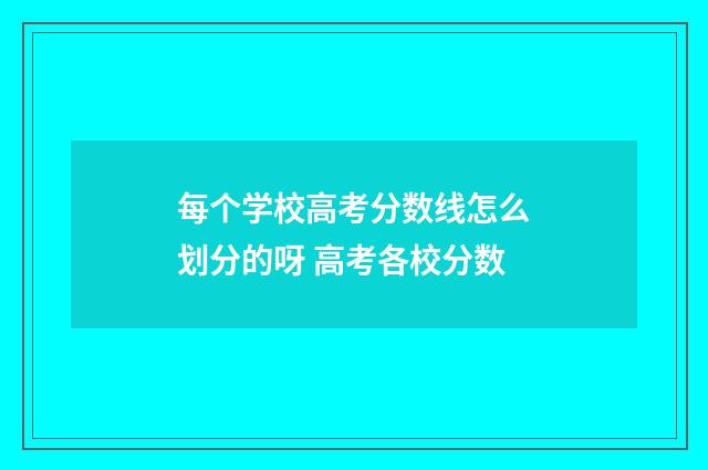 每个学校高考分数线怎么划分的呀 高考各校分数