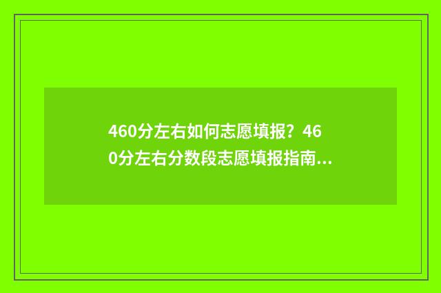 460分左右如何志愿填报？460分左右分数段志愿填报指南 460分高吗
