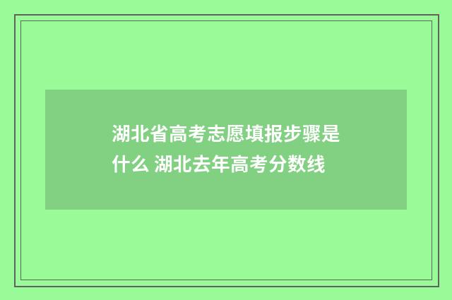 湖北省高考志愿填报步骤是什么 湖北去年高考分数线