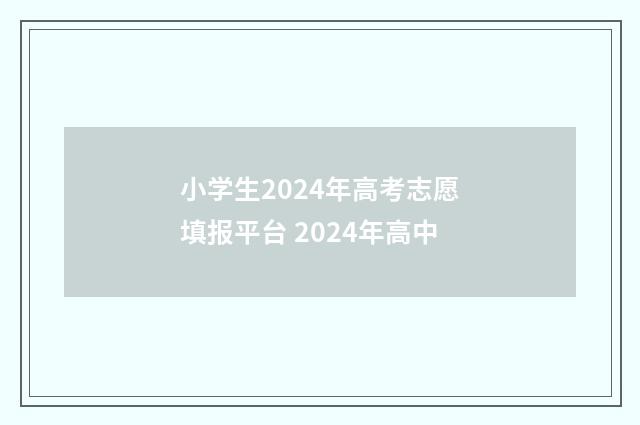 小学生2024年高考志愿填报平台 2024年高中