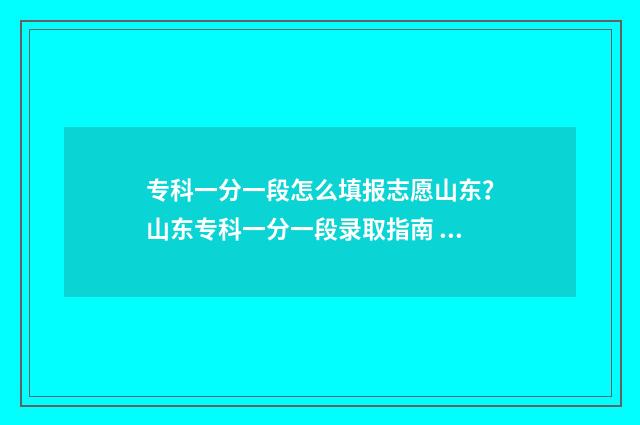 专科一分一段怎么填报志愿山东?山东专科一分一段录取指南 专科一分一段怎么查