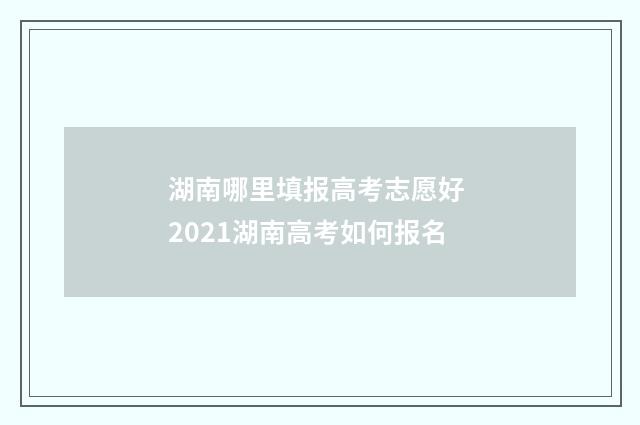 湖南哪里填报高考志愿好 2021湖南高考如何报名