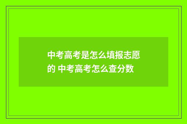 中考高考是怎么填报志愿的 中考高考怎么查分数