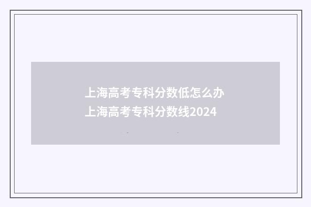 上海高考专科分数低怎么办 上海高考专科分数线2024