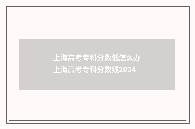 上海高考专科分数低怎么办 上海高考专科分数线2024