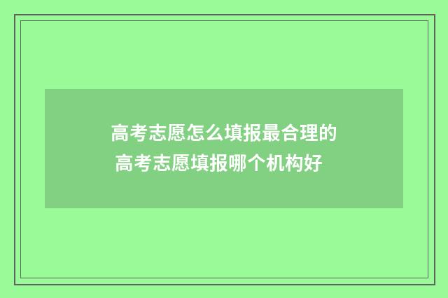 高考志愿怎么填报最合理的 高考志愿填报哪个机构好
