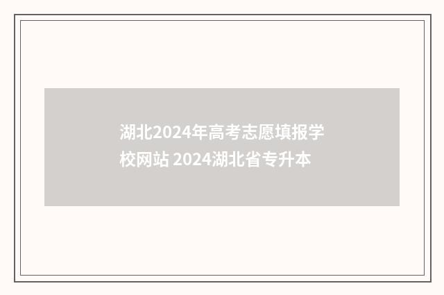 湖北2024年高考志愿填报学校网站 2024湖北省专升本