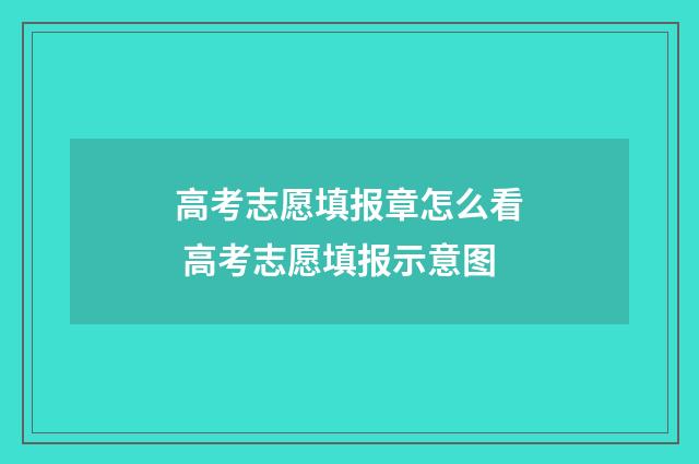 高考志愿填报章怎么看 高考志愿填报示意图