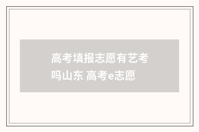 高考填报志愿有艺考吗山东 高考e志愿