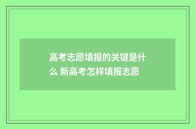高考志愿填报的关键是什么 新高考怎样填报志愿