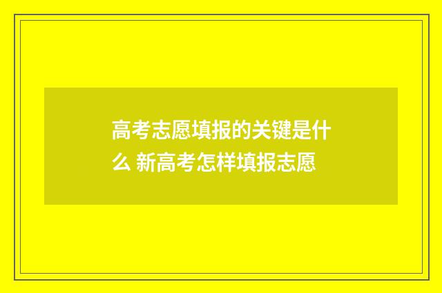 高考志愿填报的关键是什么 新高考怎样填报志愿