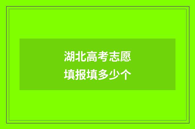 湖北高考志愿填报填多少个
