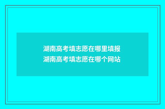 湖南高考填志愿在哪里填报 湖南高考填志愿在哪个网站