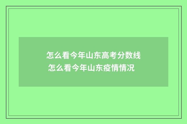 怎么看今年山东高考分数线 怎么看今年山东疫情情况