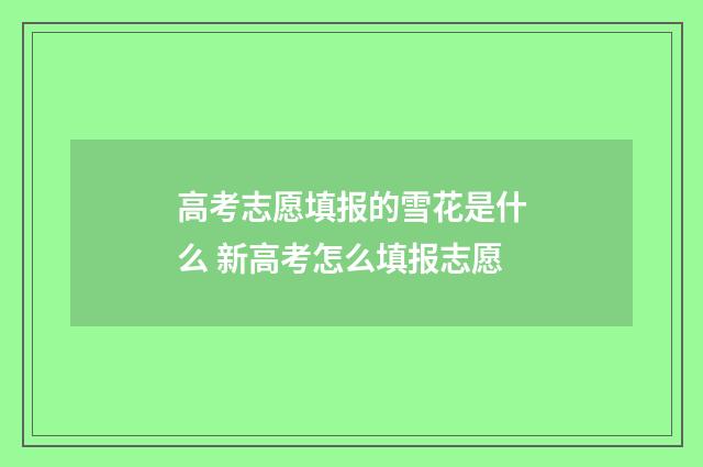 高考志愿填报的雪花是什么 新高考怎么填报志愿