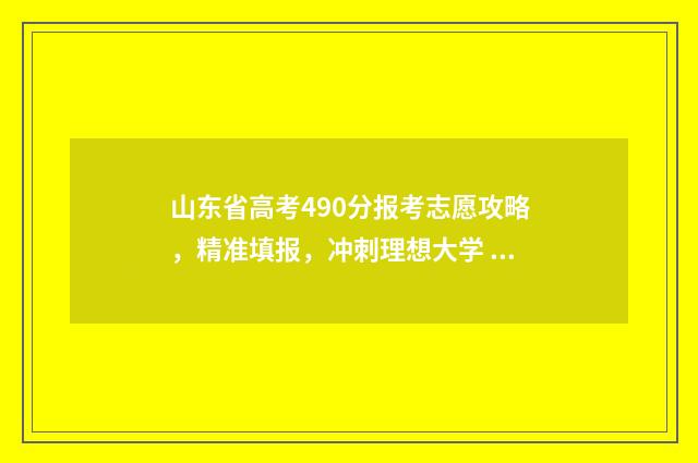 山东省高考490分报考志愿攻略，精准填报，冲刺理想大学 山东省高考490分能上公办本科吗