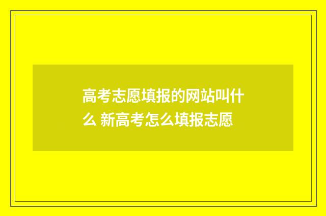 高考志愿填报的网站叫什么 新高考怎么填报志愿