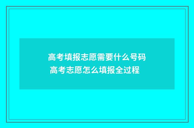 高考填报志愿需要什么号码 高考志愿怎么填报全过程
