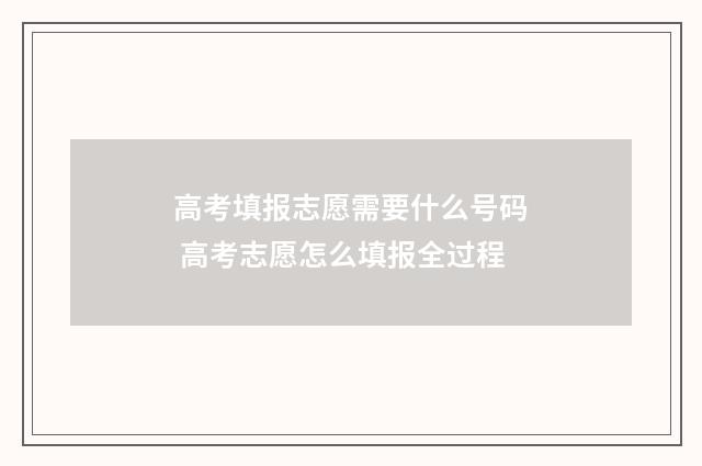 高考填报志愿需要什么号码 高考志愿怎么填报全过程