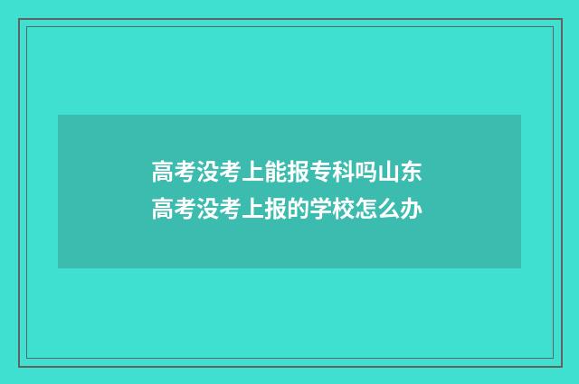高考没考上能报专科吗山东 高考没考上报的学校怎么办