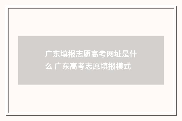 广东填报志愿高考网址是什么 广东高考志愿填报模式