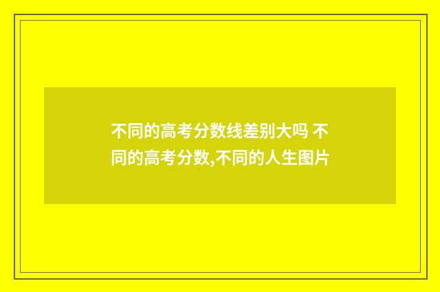 不同的高考分数线差别大吗 不同的高考分数,不同的人生图片