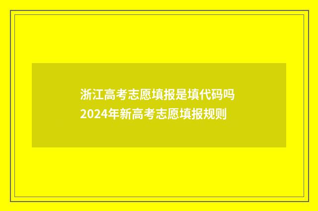 浙江高考志愿填报是填代码吗 2024年新高考志愿填报规则