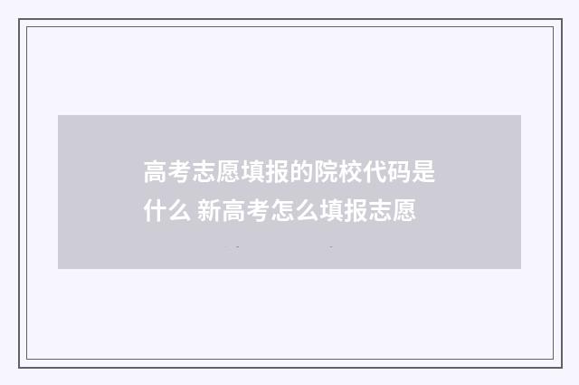 高考志愿填报的院校代码是什么 新高考怎么填报志愿