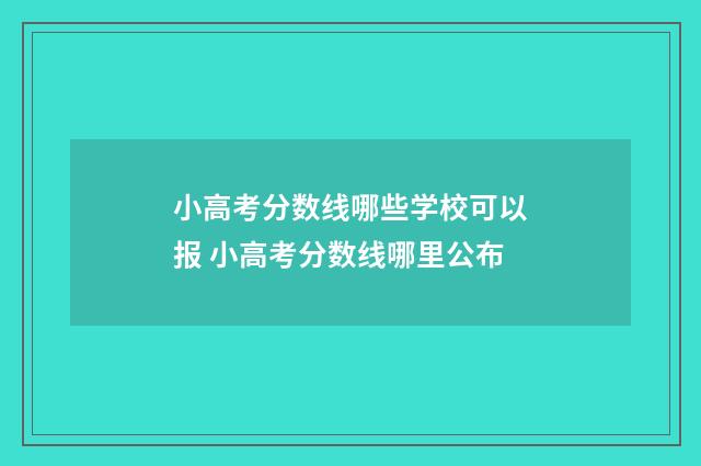 小高考分数线哪些学校可以报 小高考分数线哪里公布
