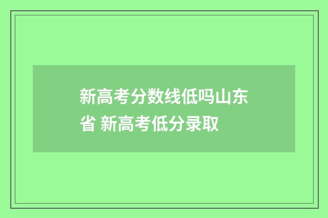 新高考分数线低吗山东省 新高考低分录取