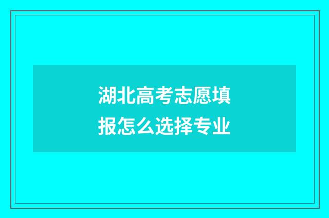 湖北高考志愿填报怎么选择专业