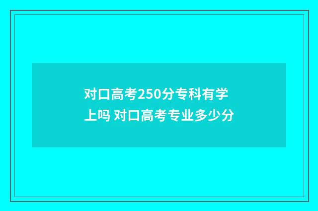 对口高考250分专科有学上吗 对口高考专业多少分