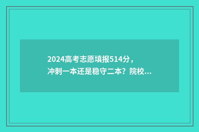 2024高考志愿填报514分，冲刺一本还是稳守二本？院校及专业推荐 高考e志愿