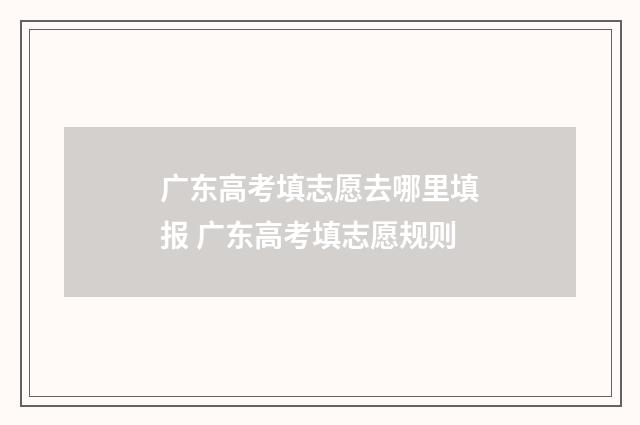 广东高考填志愿去哪里填报 广东高考填志愿规则