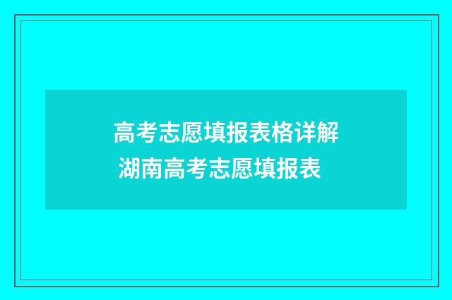 高考志愿填报表格详解 湖南高考志愿填报表