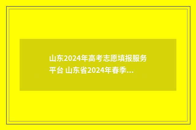 山东2024年高考志愿填报服务平台 山东省2024年春季高考