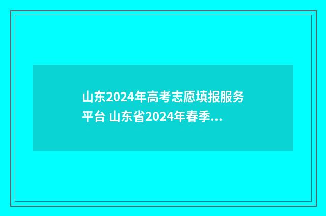 山东2024年高考志愿填报服务平台 山东省2024年春季高考
