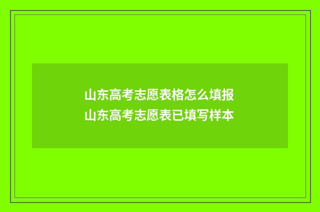山东高考志愿表格怎么填报 山东高考志愿表已填写样本