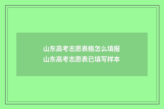 山东高考志愿表格怎么填报 山东高考志愿表已填写样本