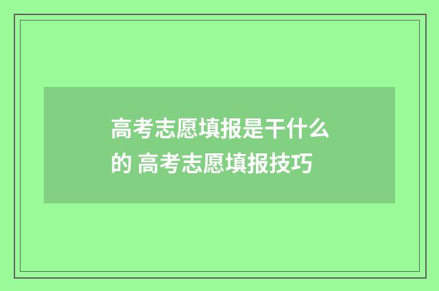 高考志愿填报是干什么的 高考志愿填报技巧