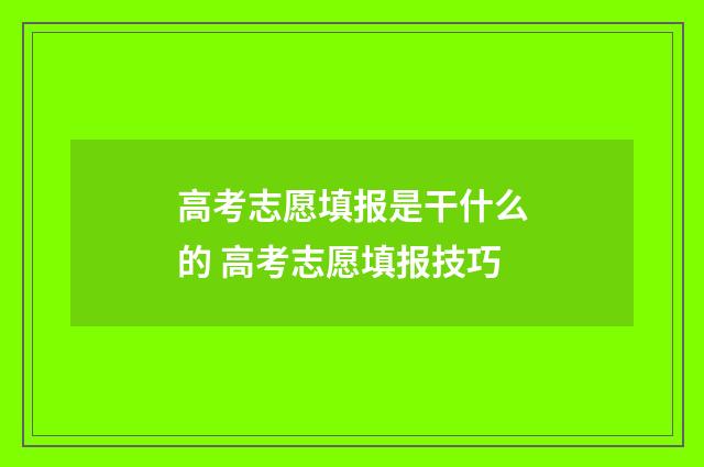 高考志愿填报是干什么的 高考志愿填报技巧