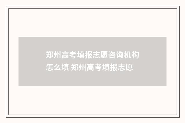 郑州高考填报志愿咨询机构怎么填 郑州高考填报志愿