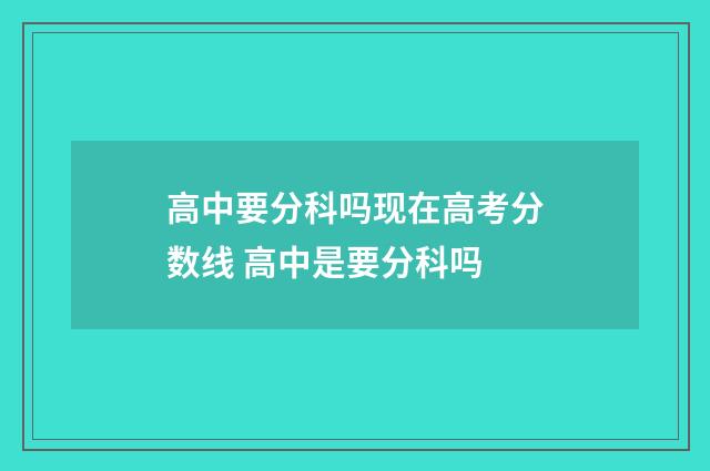 高中要分科吗现在高考分数线 高中是要分科吗