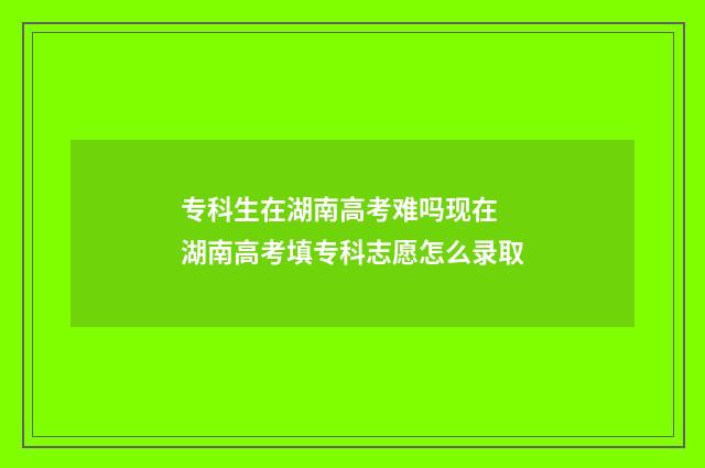 专科生在湖南高考难吗现在 湖南高考填专科志愿怎么录取