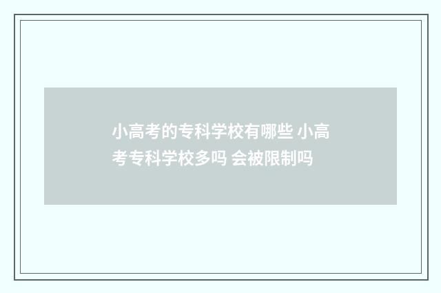 小高考的专科学校有哪些 小高考专科学校多吗 会被限制吗